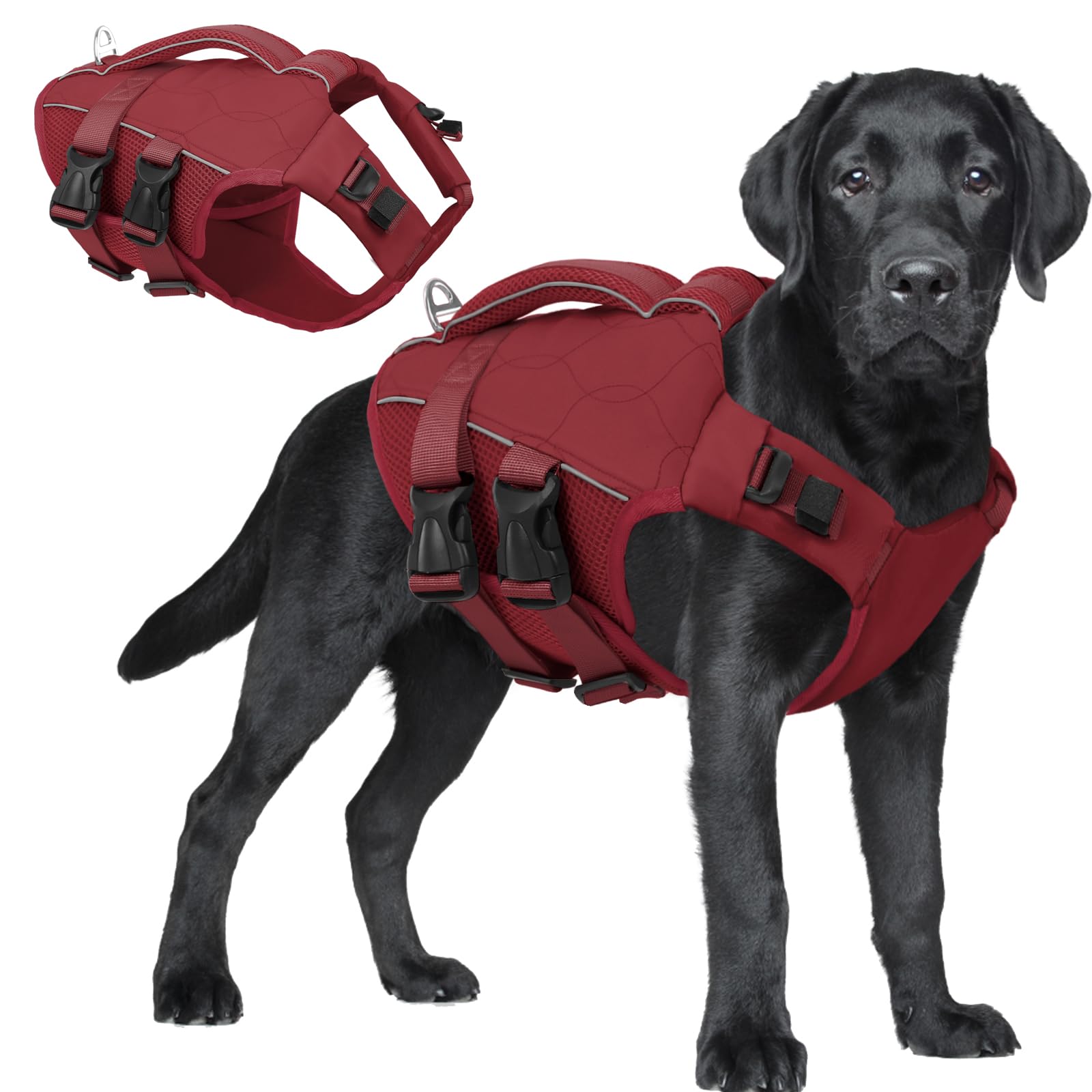ASENKU Veste de sauvetage chien – vue generale et couleur vin rouge, confort et flottaison.