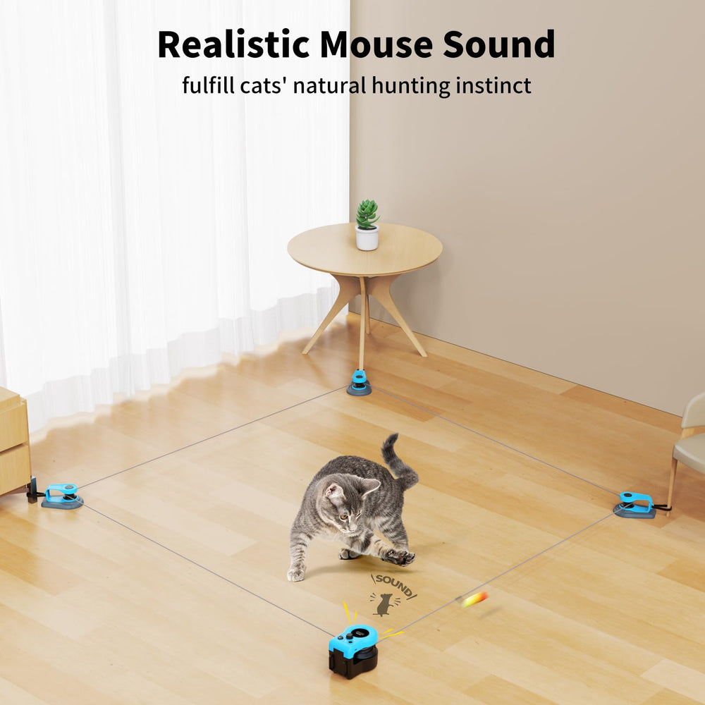 AsFrost jouet-chat-diy-trajetoires offre trajets personnalisables pour activité physique et mentale.