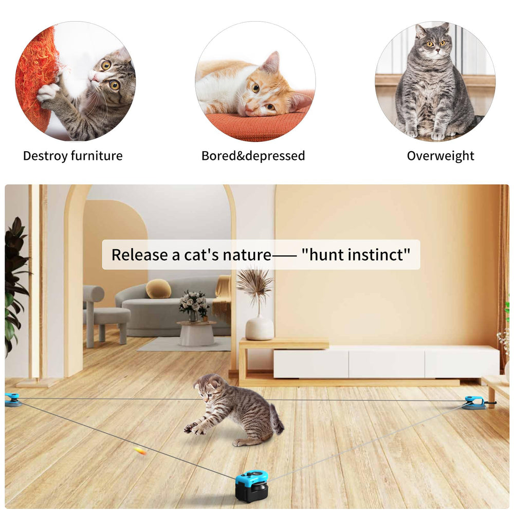AsFrost souris-sonore-jouet-chat stimule jeu et énergie.