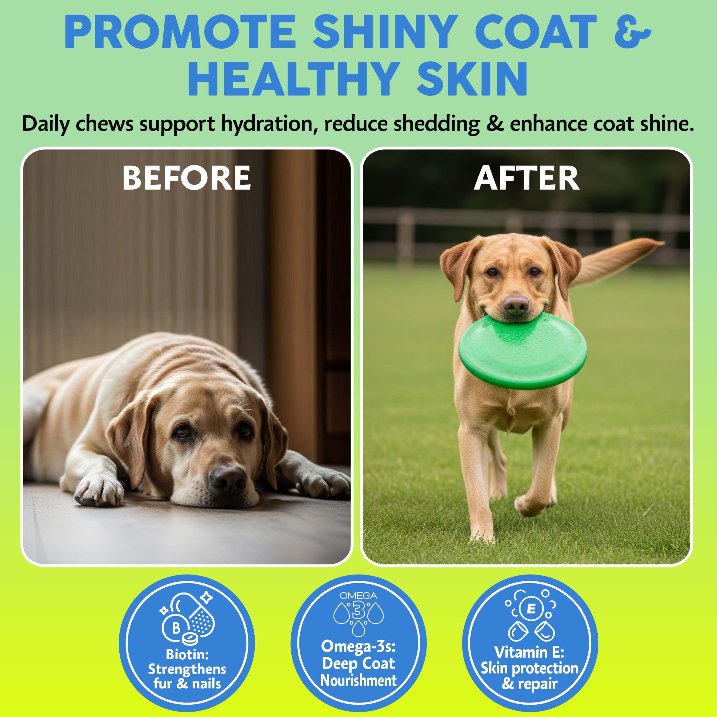 ASHER HOUSE WELLNESS – friandises pour chiens au goût naturel.