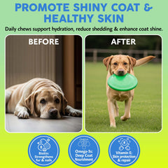 ASHER HOUSE WELLNESS – friandises pour chiens au goût naturel.