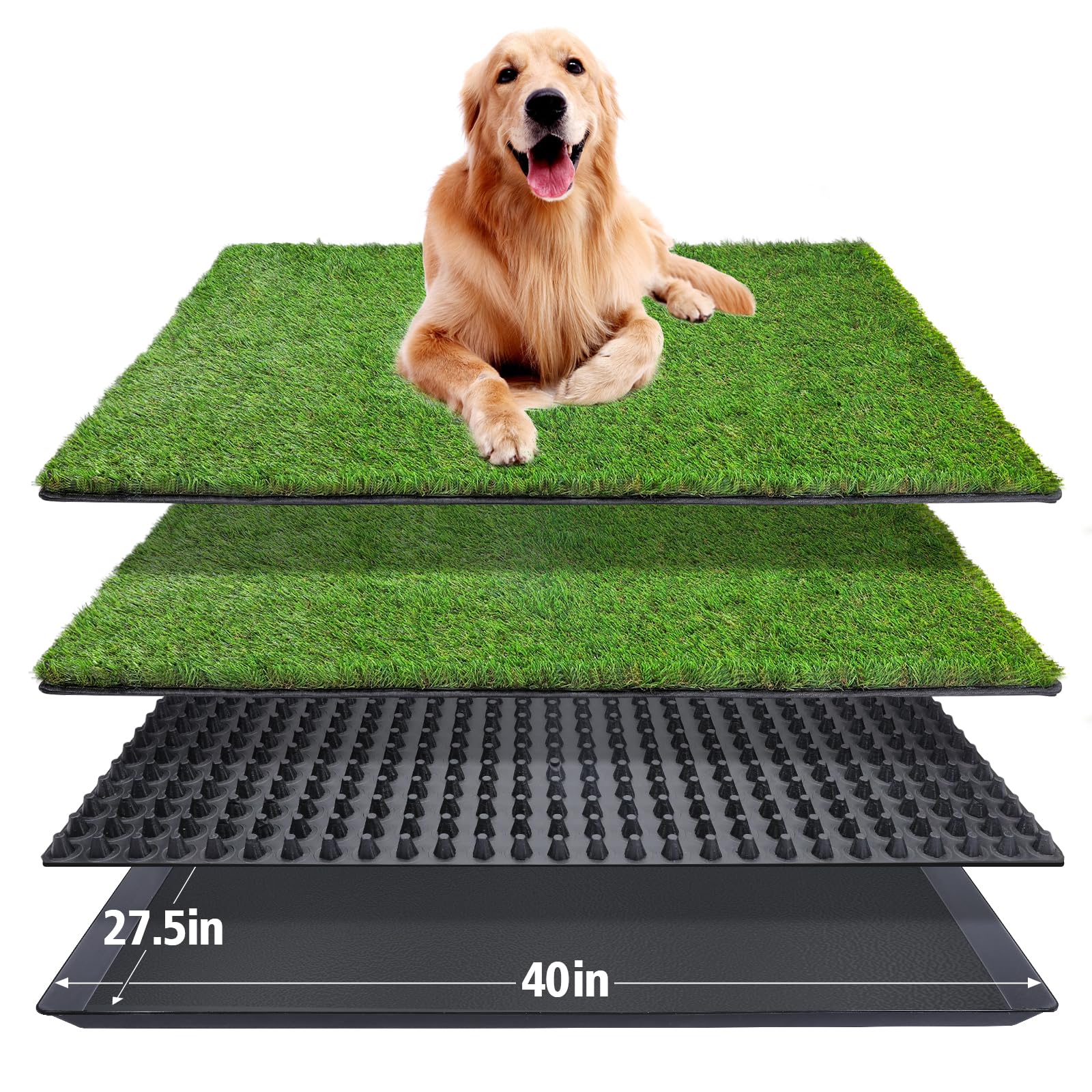 ASKIZ Tapis herbe chien, vue face, pratique pour toilette intérieure
