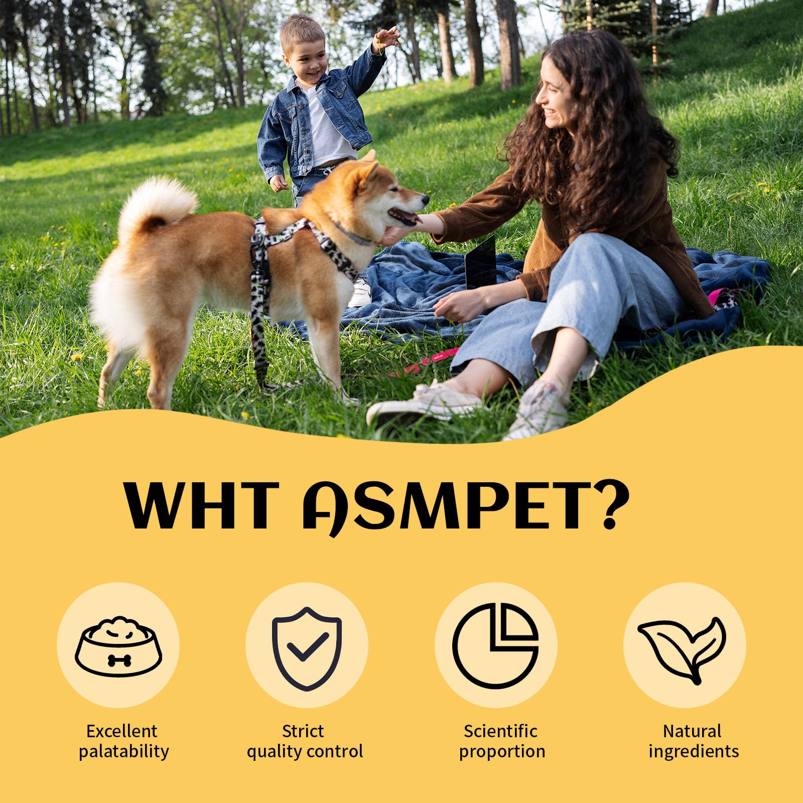 ASMPET chips poulet sans céréales et digestibilité améliorée.