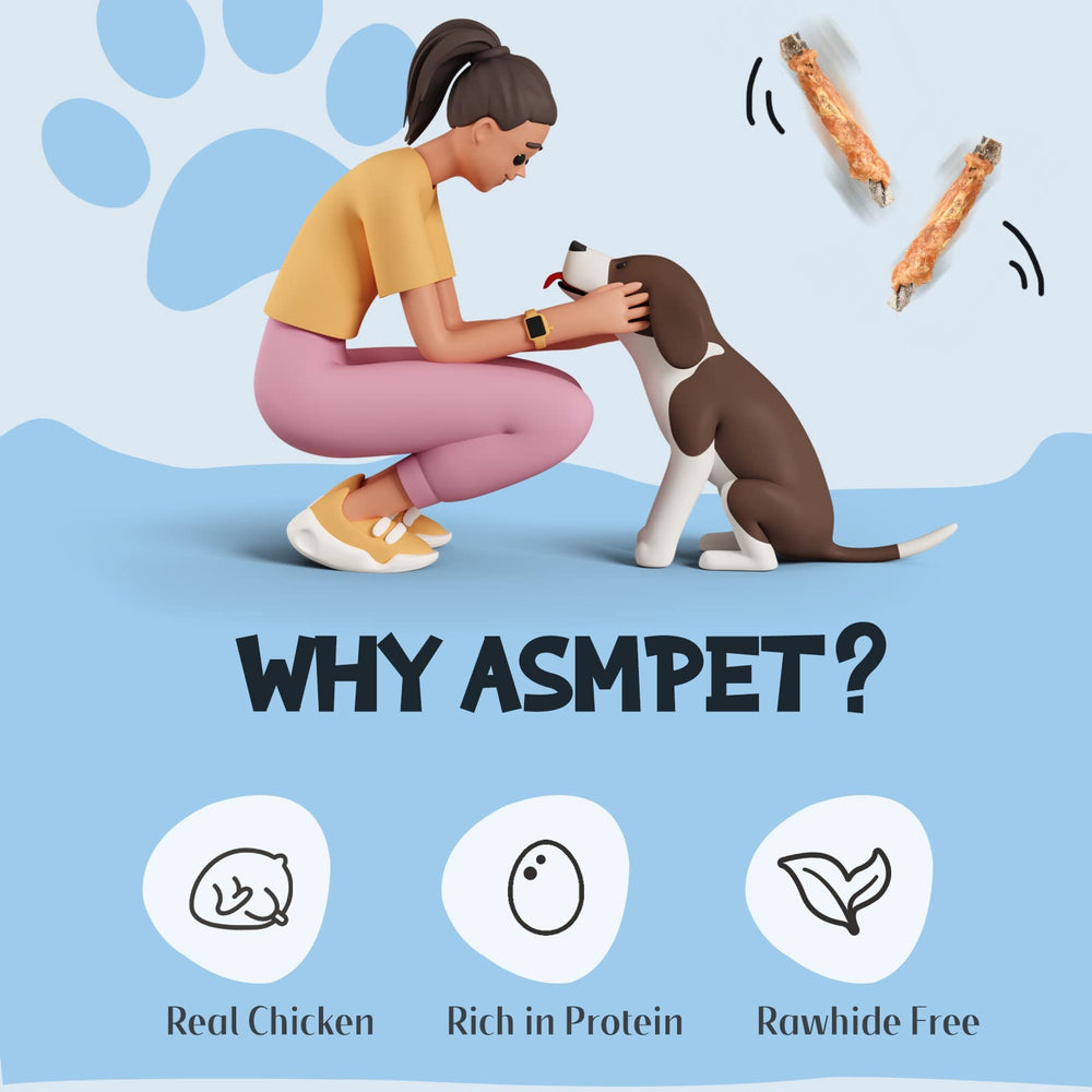 ASMPET utilisation en extérieur simple, snack sûr lors des promenades quotidiennes.
