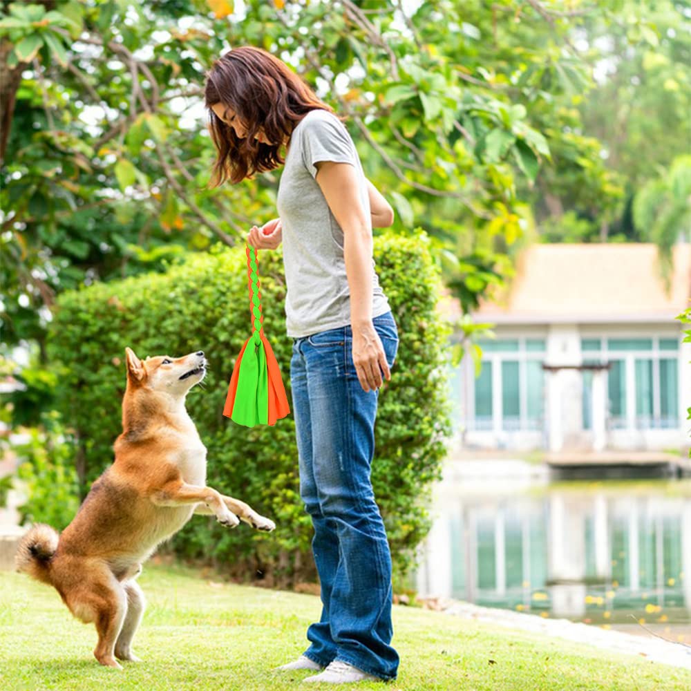 ASOCEA couleurs attrayantes et design, incitent le chien à jouer et bouger.