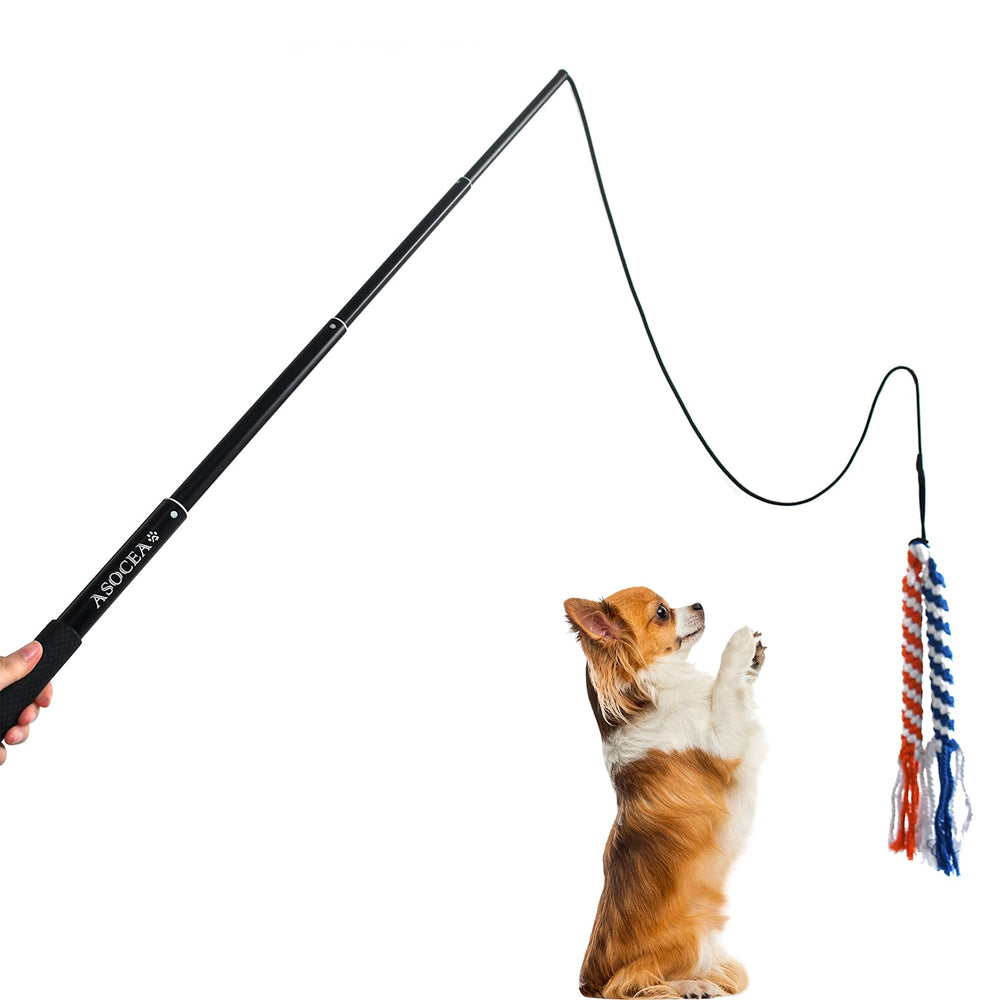 ASOCEA Utilisation extérieure adaptée à toutes tailles de chiens.