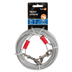 Aspen Pet câble d'attache 30 pieds, liberté sécurisée dans jardin sans clôture.