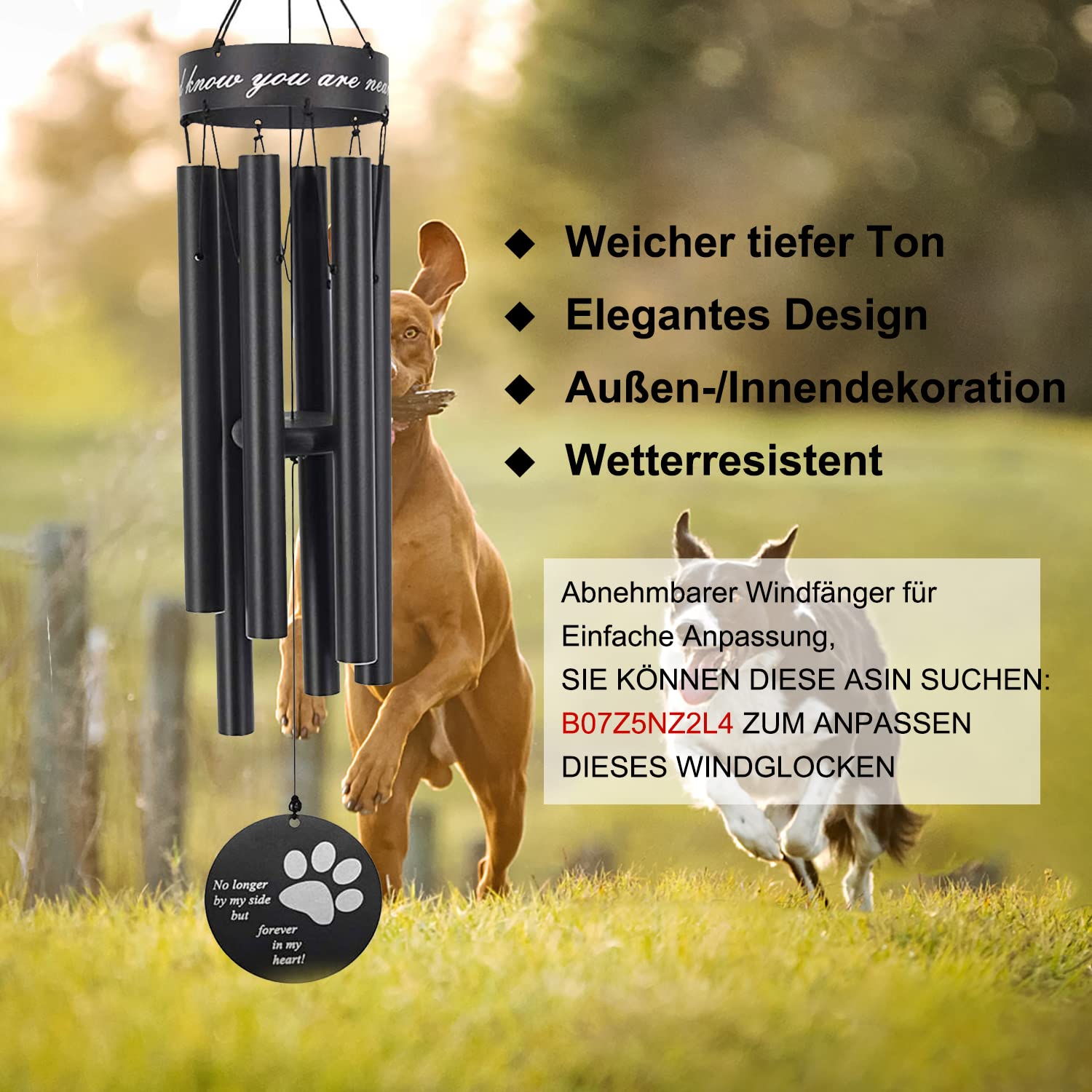 ASTARIN emballage soigné et accessoires inclus