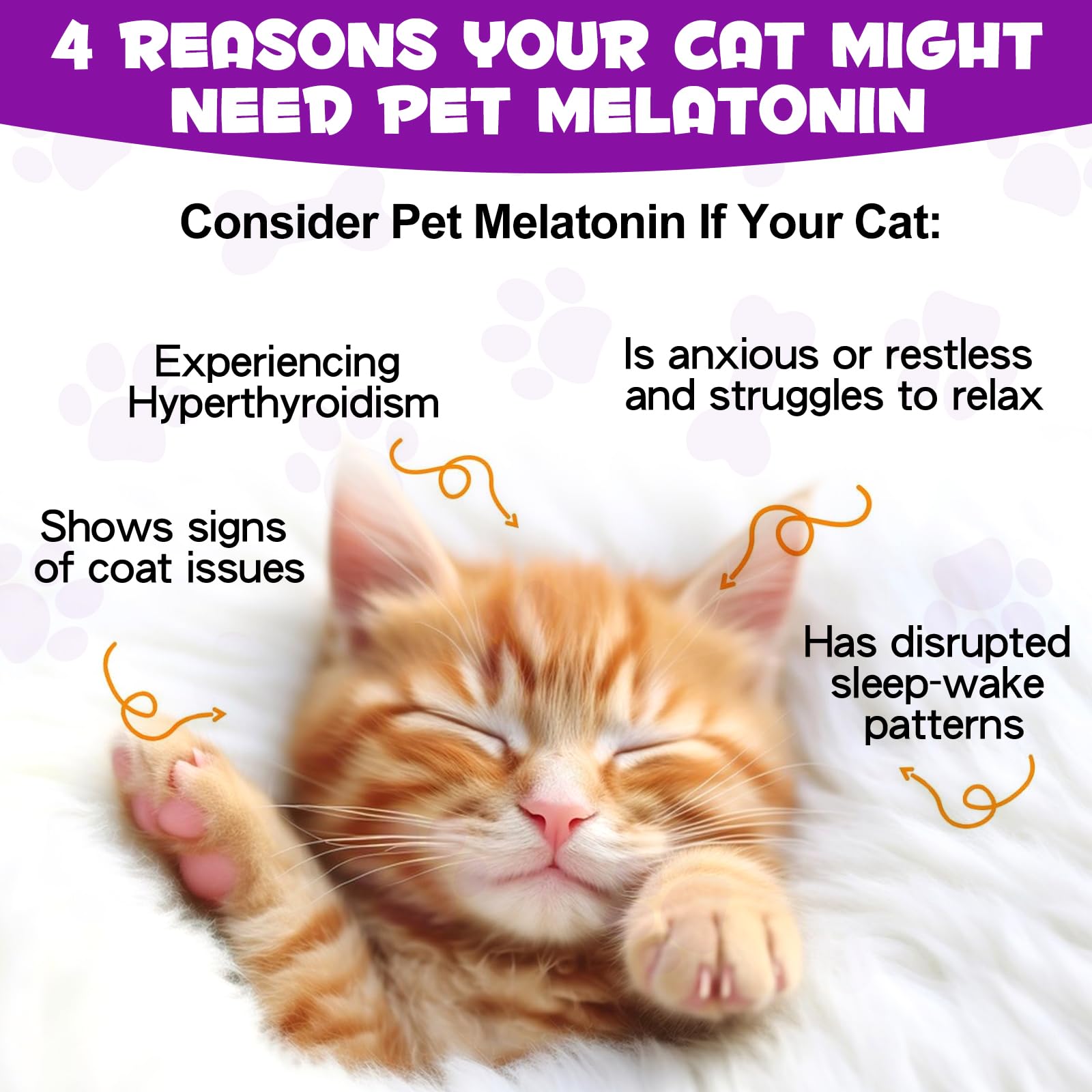 Asusxcli Mélatonine pour chat: routine nocturne simplifiée grâce au produit.