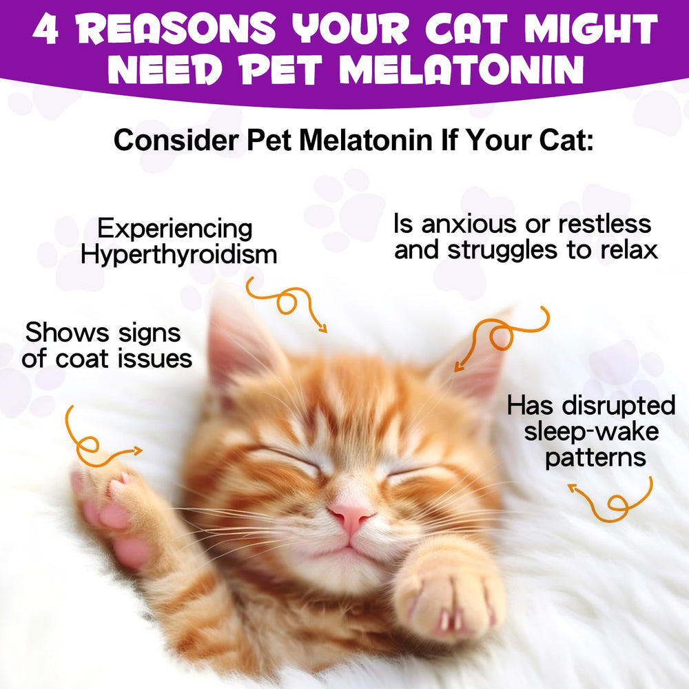 Asusxcli Mélatonine pour chat: routine nocturne simplifiée grâce au produit.
