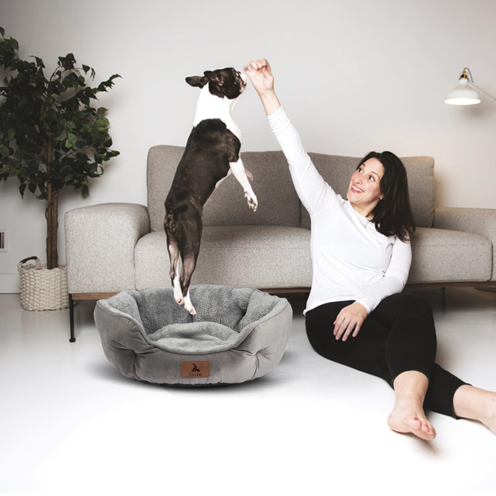 Asvin-lit-chien-petit-20pouces-gris, taille adaptée et confort