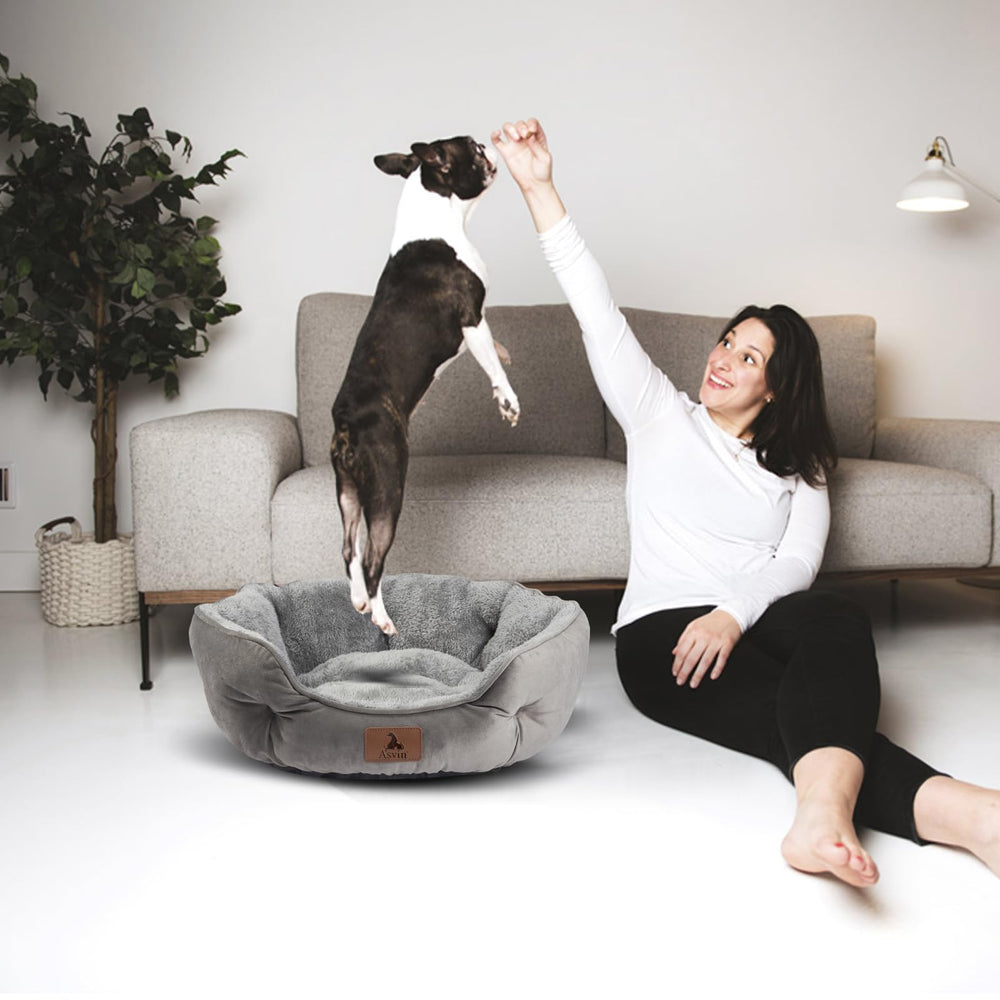 Asvin-lit-chien-petit-20pouces-gris, taille adaptée et confort