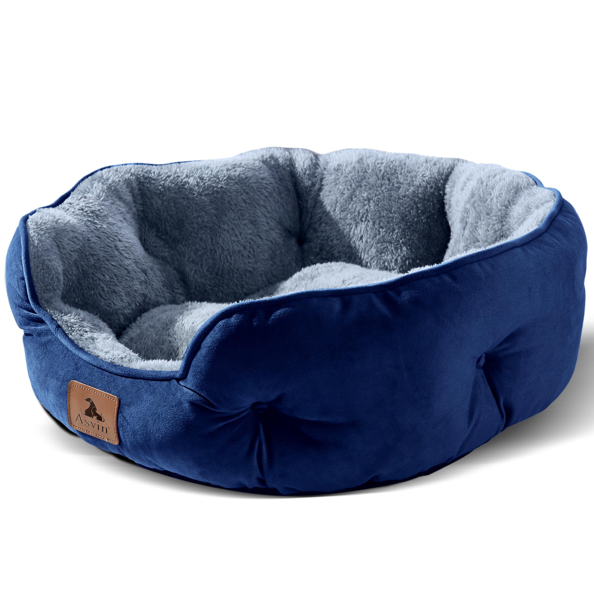 Asvin nid petit chien bleu de 20 pouces, confort optimal pour repos.