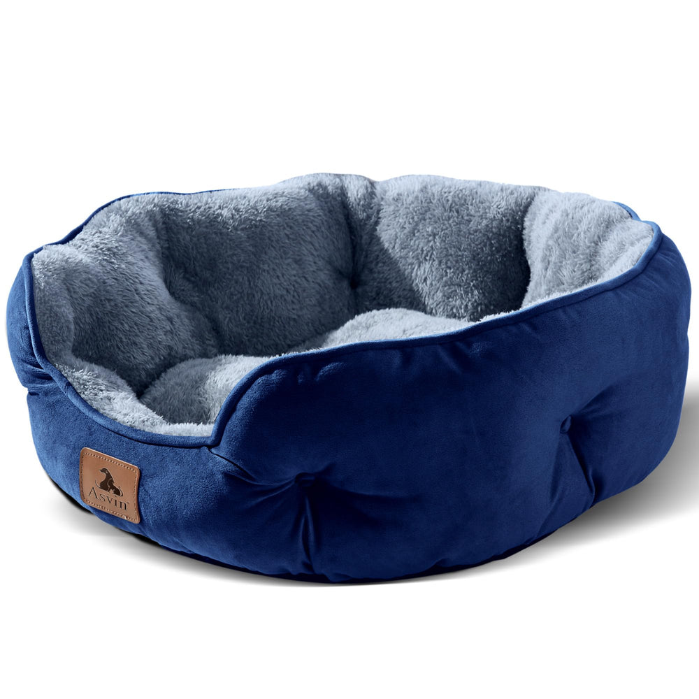 Asvin nid petit chien bleu de 20 pouces, confort optimal pour repos.