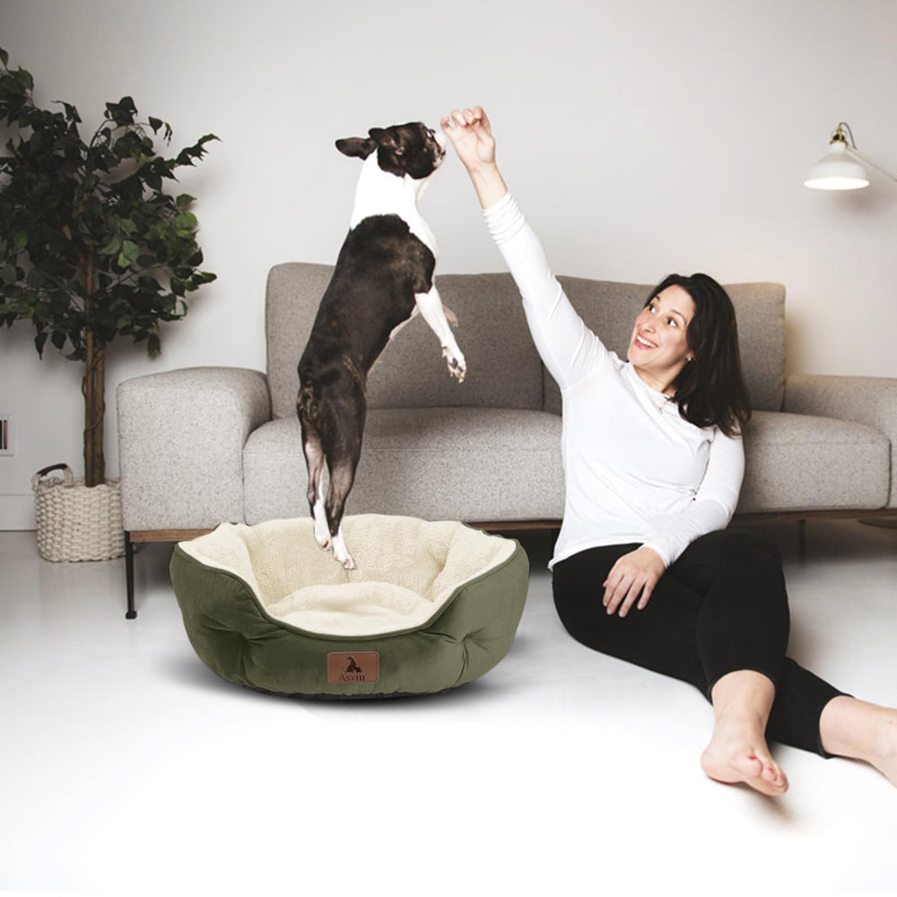 Asvin Taille 20 pouces idéale pour petits chiens et chats