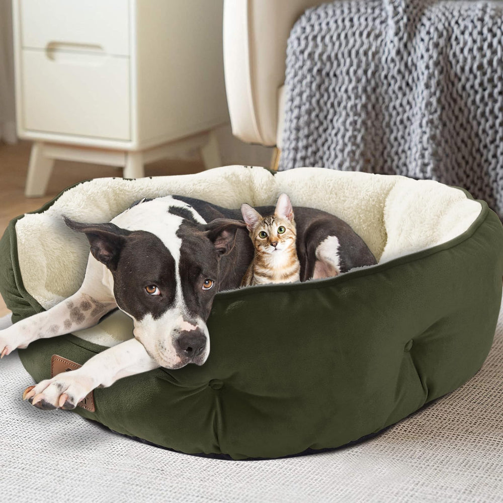 Asvin Utilisation quotidienne à la maison pour chien et chat