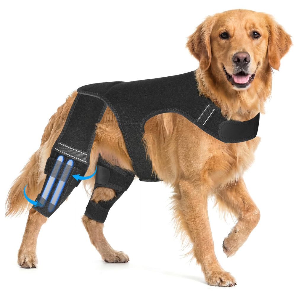 Attelle Atiansen pour chien avec stabilisateurs intérieurs offrant un soutien ciblé à la patte arrière.