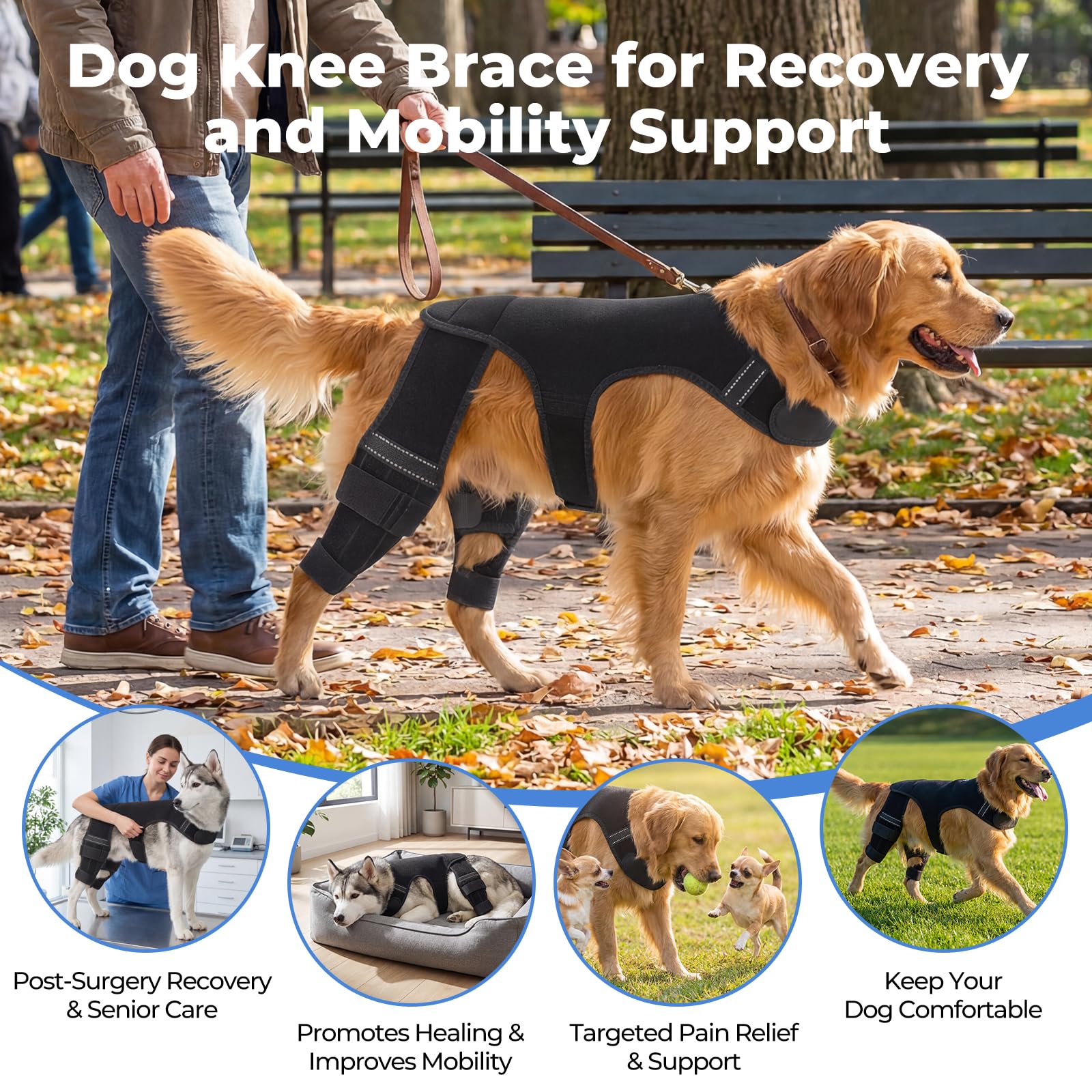 Matériau néoprène respirant offre confort et maintien sans surchauffe.