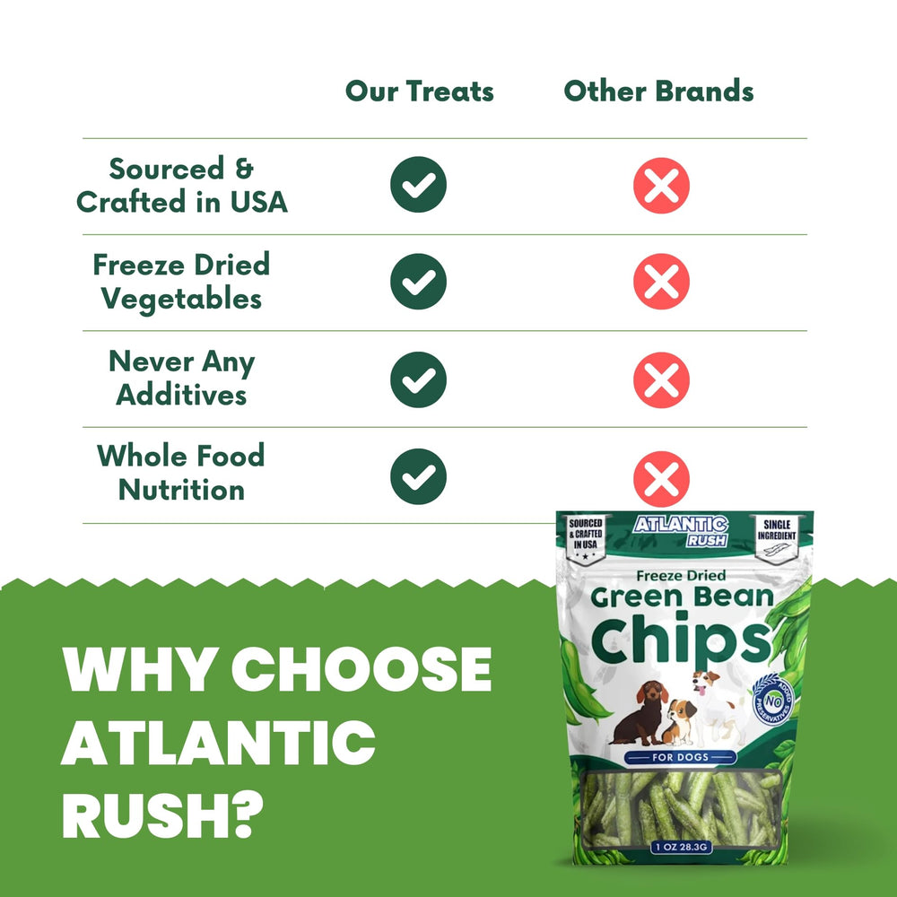 Chien dégustant les chips, récompense croquante et savoureuse.