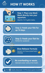 Atlantic Rush installation facile dans votre aquarium.