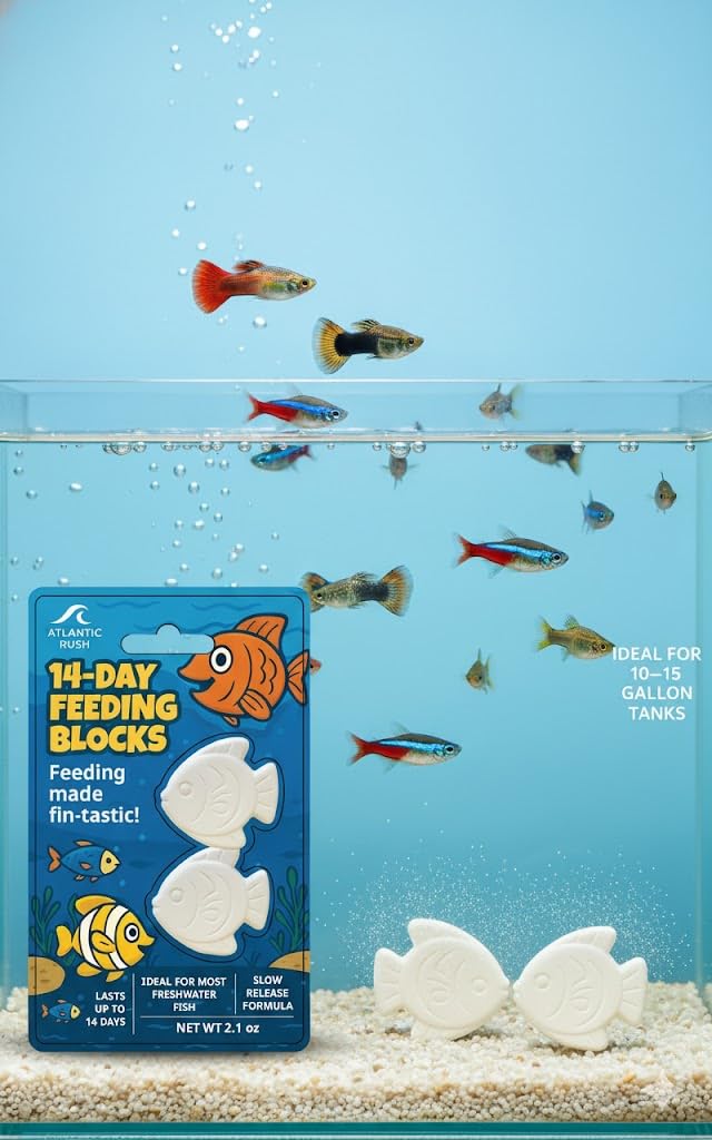 Atlantic Rush bloc nourrissant compatible avec la plupart des aquariums.