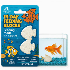 Atlantic Rush Vacation Feeder dans un aquarium, bloc nourrissant lent pour poissons.