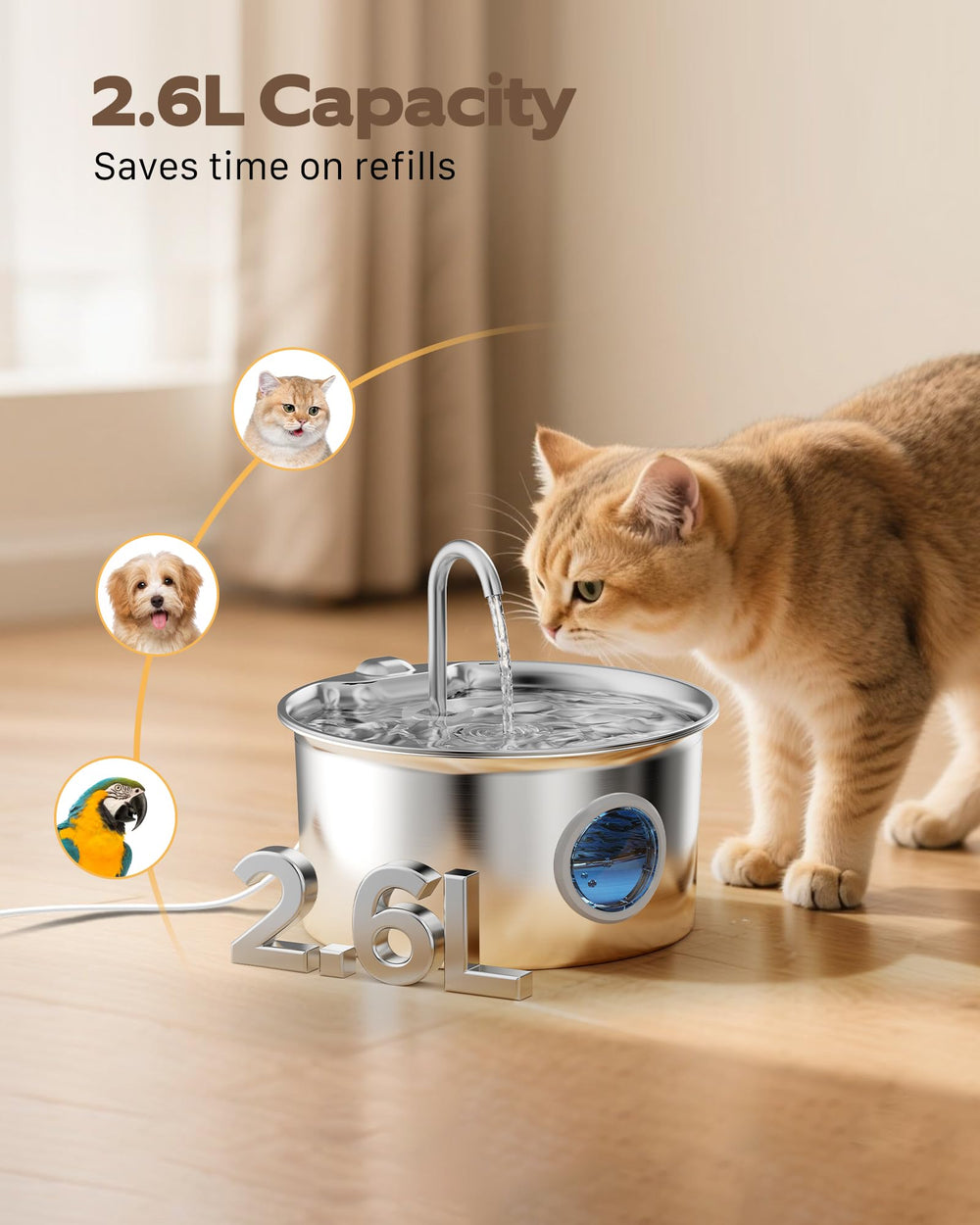 ATMZIQXR fontaine pour chat en inox, niveau d'eau visible pour remplissages précis.