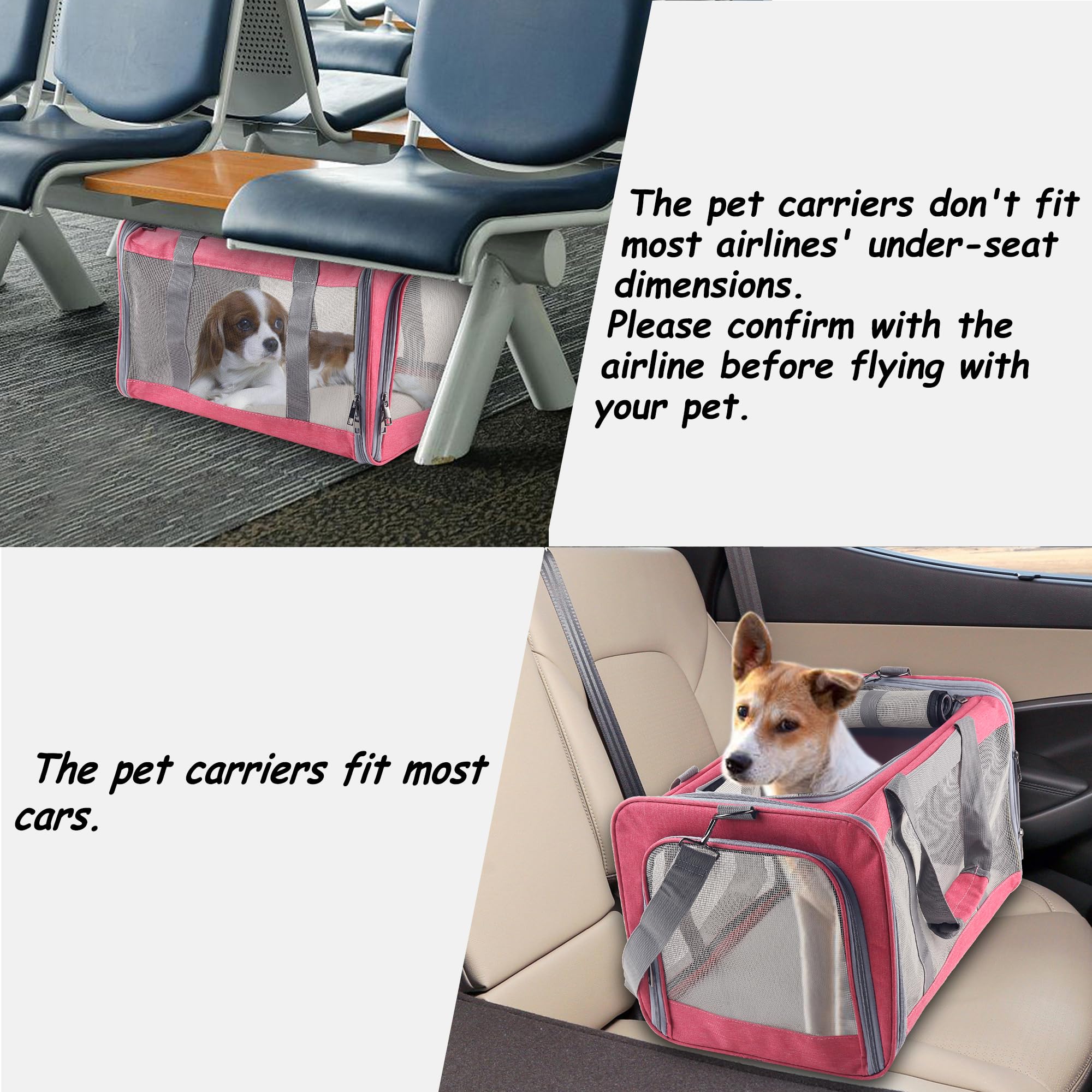 Atvobiy porte-chat avion conforme – vérification des règles de la compagnie