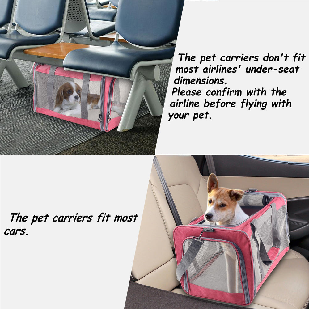 Atvobiy porte-chat avion conforme – vérification des règles de la compagnie