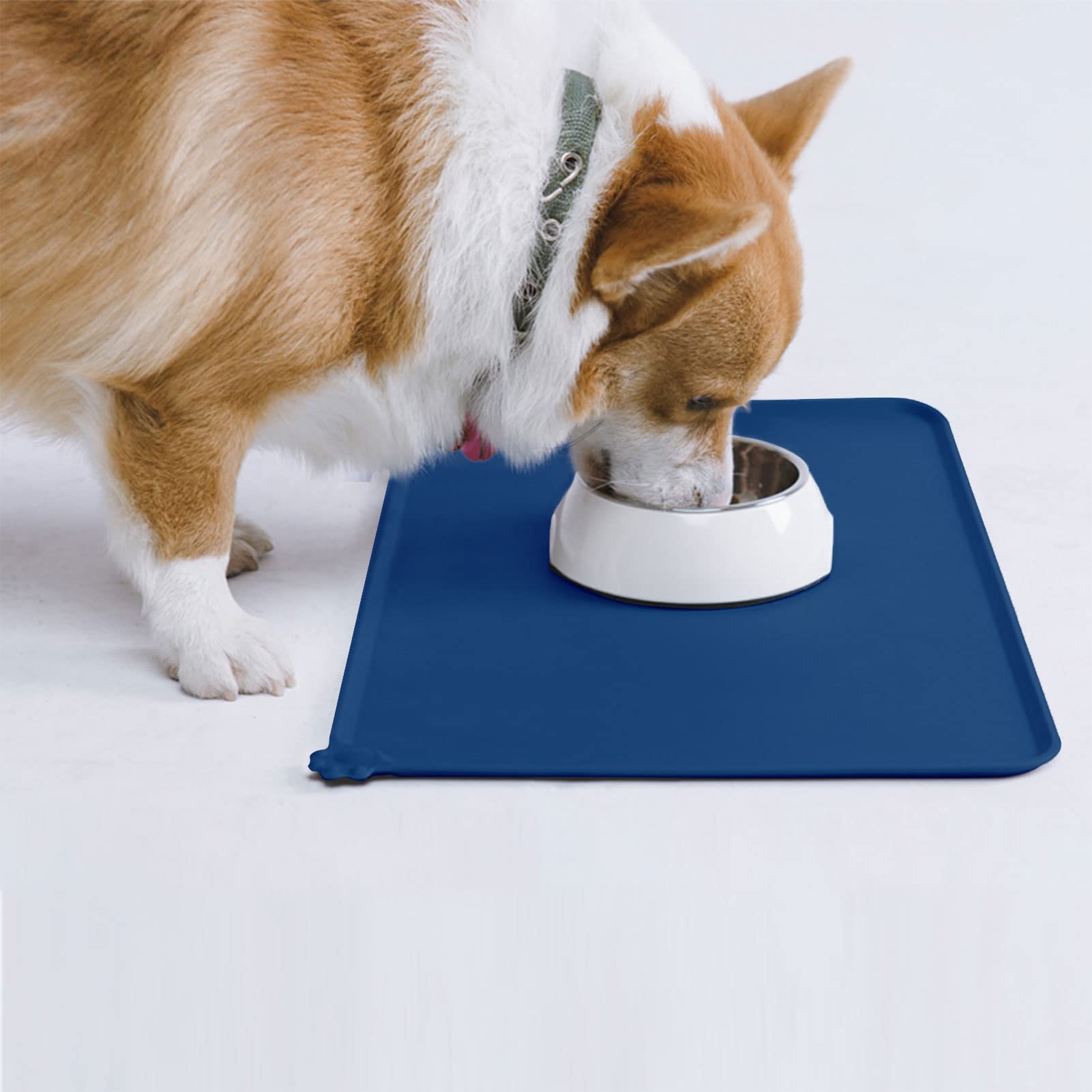 AUDWUD Utilisation quotidienne pour chiens et chats, solution pratique et propre