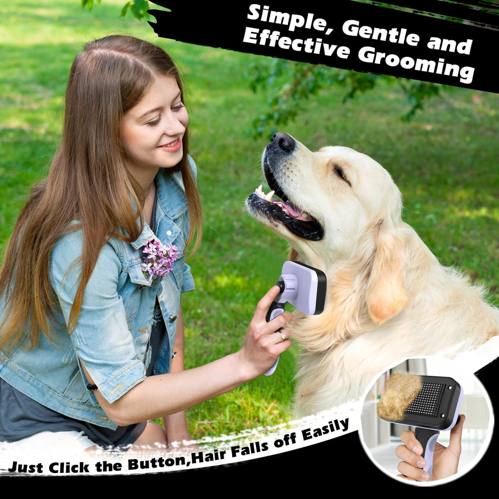 Augwind outil de toilettage quotidien pour chiens et chats.