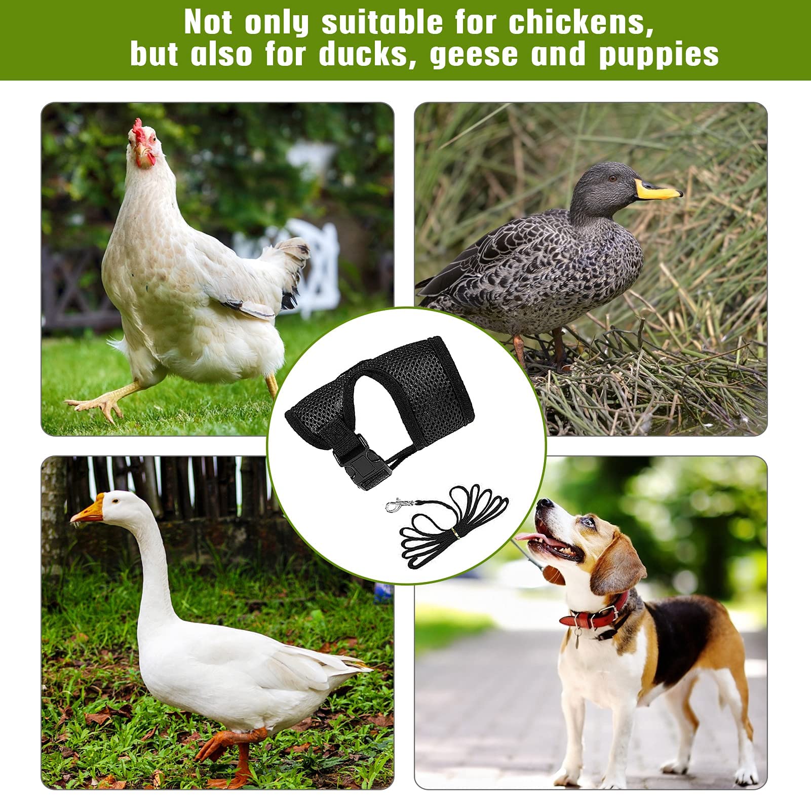 Harnais Aulock en mesh respirant, pour balades douces avec vos poules