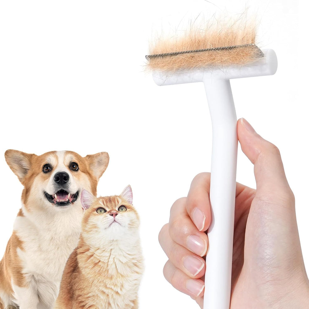 Brosse démêlage Aumuca pour chat au pelage court, douceur et efficacité.