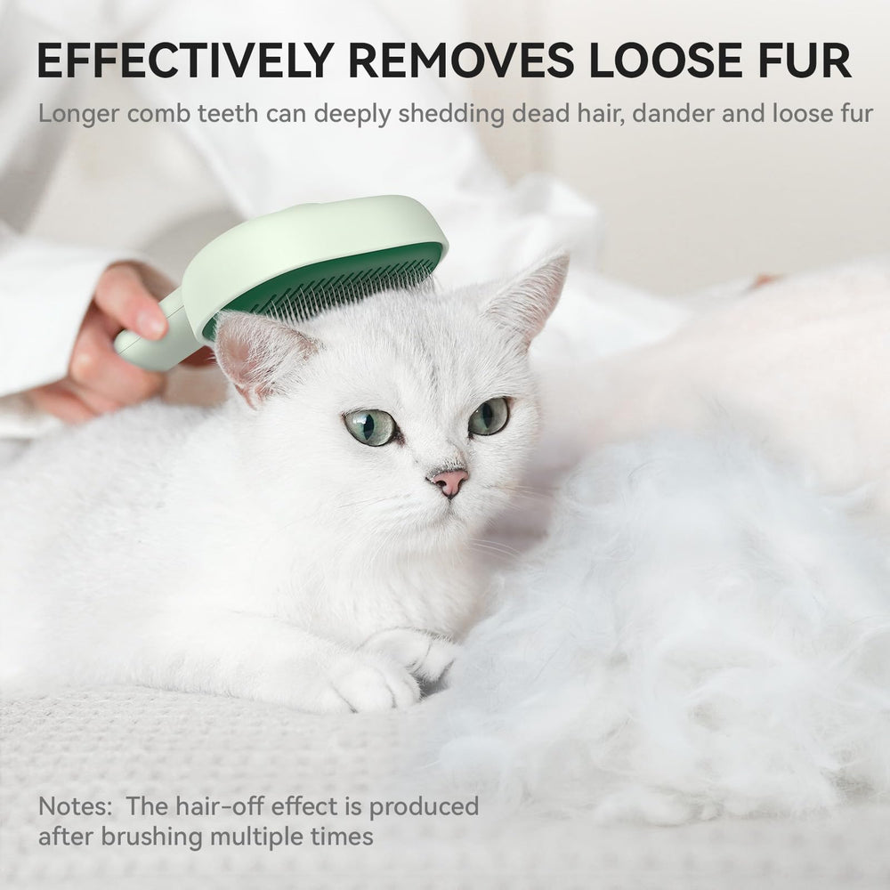 La brosse Aumuca vert forêt allie design et efficacité
