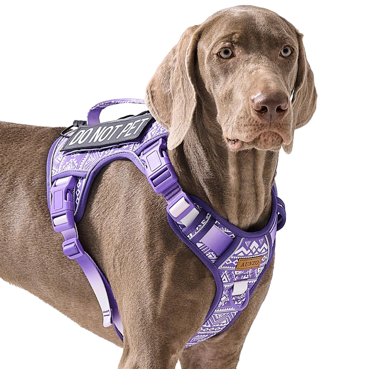 Harnais AUNZO tactique grand chien violet offre stabilité et confort