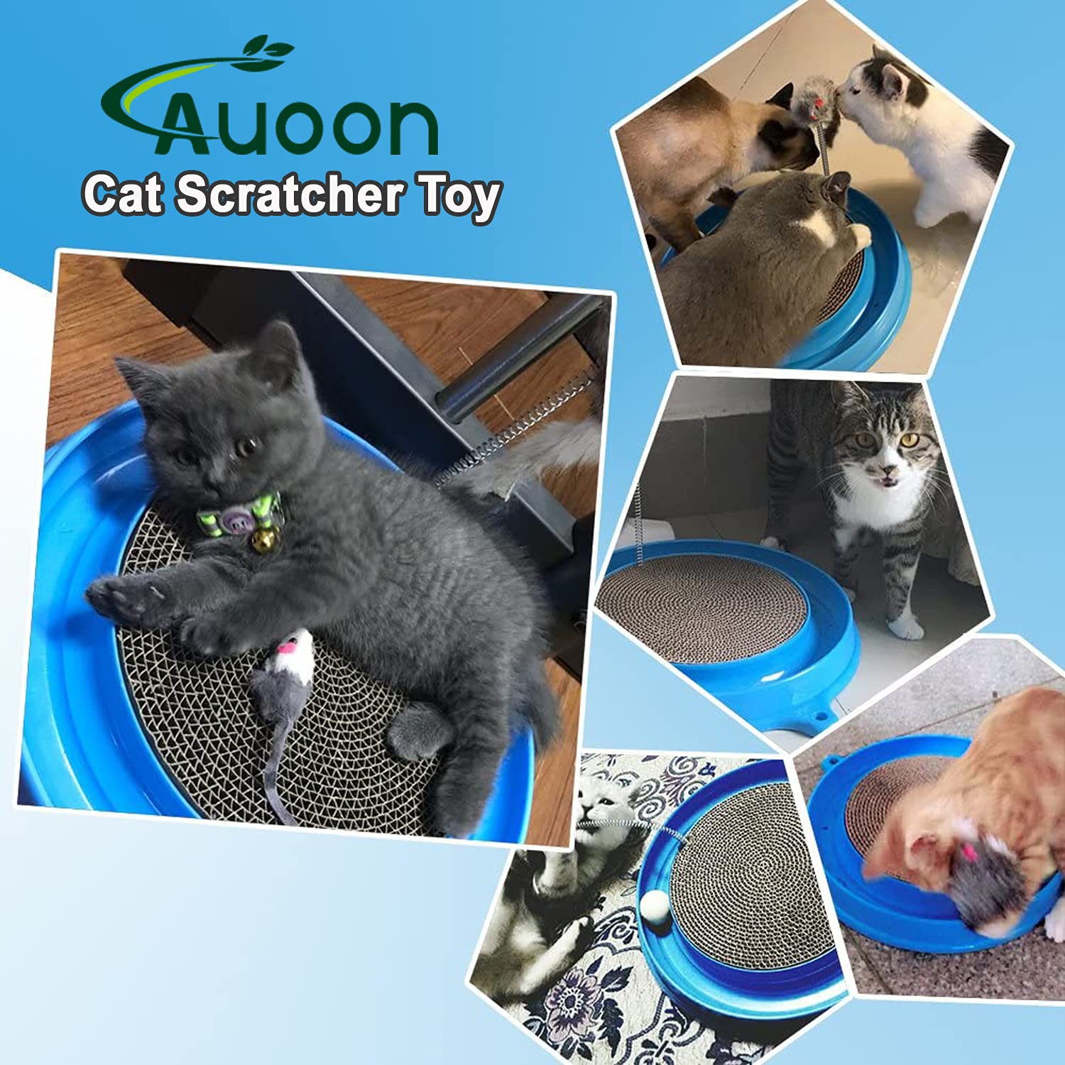 AUOON accessoire herbe à chat bleu augmente l'intérêt
