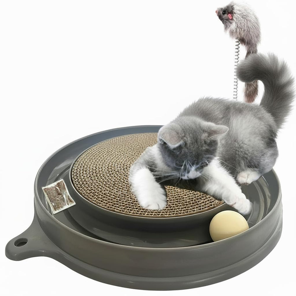 AUOON chat-grattoir 3-en-1 : griffage sécurisé et jeu interactif pour chats.
