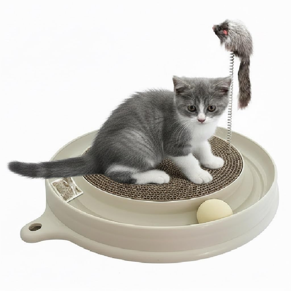 AUOON chat-grattoir-3-en-1, le griffoir polyvalent pour chats actifs.