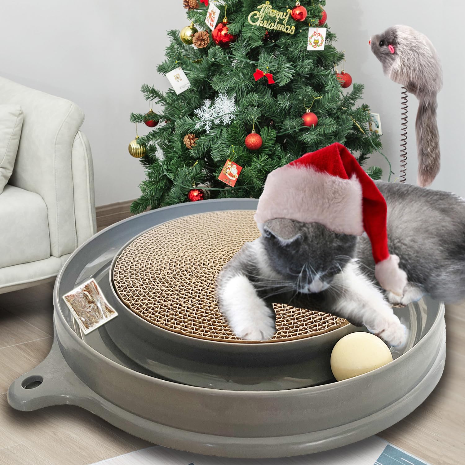 AUOON herbe-chat stimule l’intérêt et prolonge le jeu.