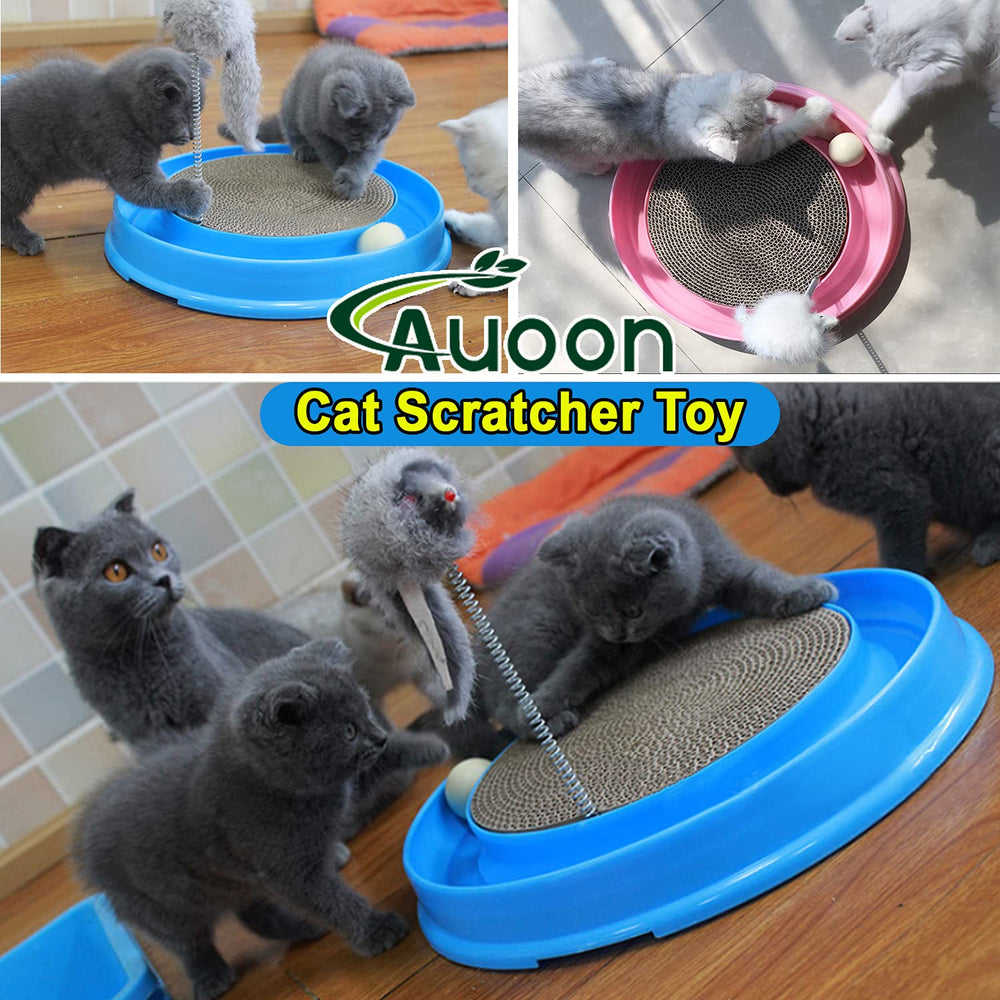 AUOON remplacement grattoir et accessoires éco-responsables bleu
