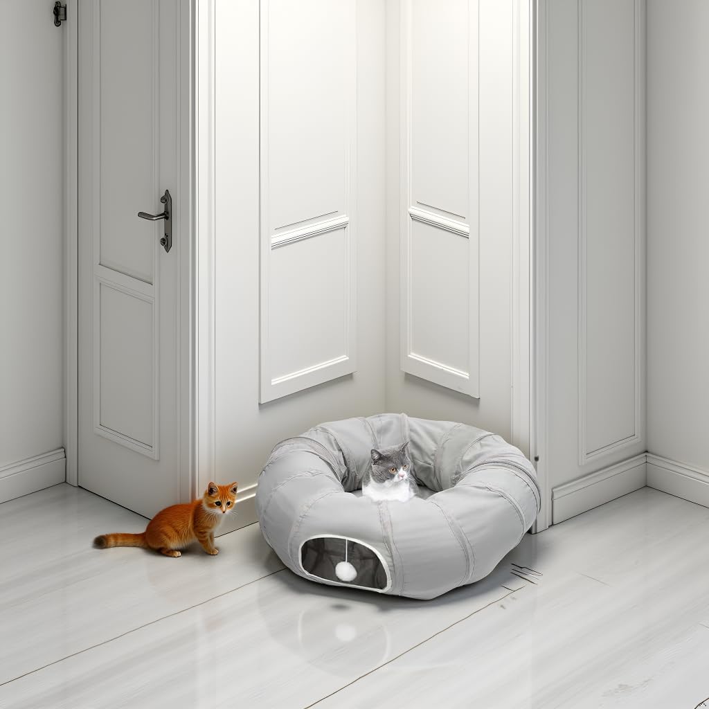AUOON tunnel-chat-pour-autres-animaux: idéal pour chiots, lapins et plus.