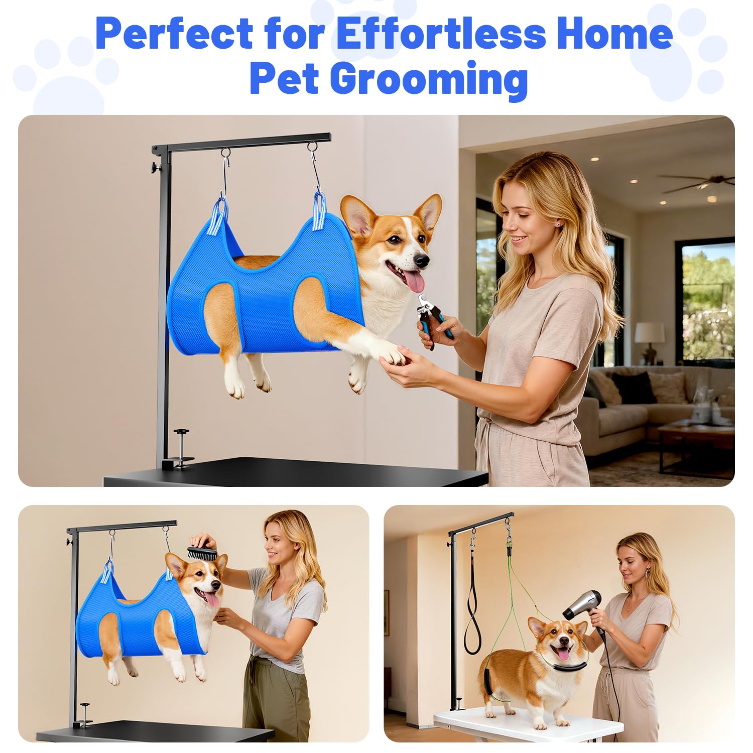 AUORC ensemble-accessoires-soin-chien inclus pour routine efficace