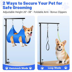 AUORC supports-maintien-double gardant le chien en place en toute sécurité