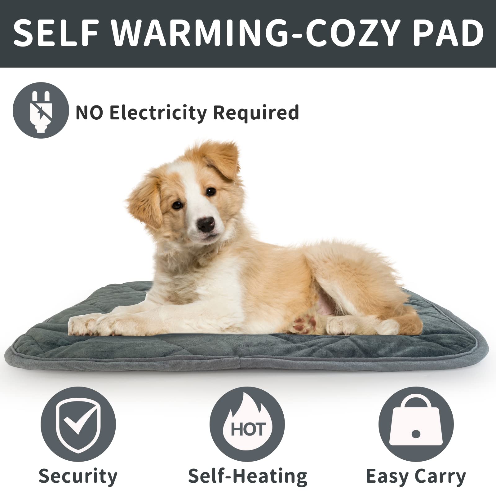 Tapis thermique AUPETEK pour chat extérieur, parfait pour les sorties froides.