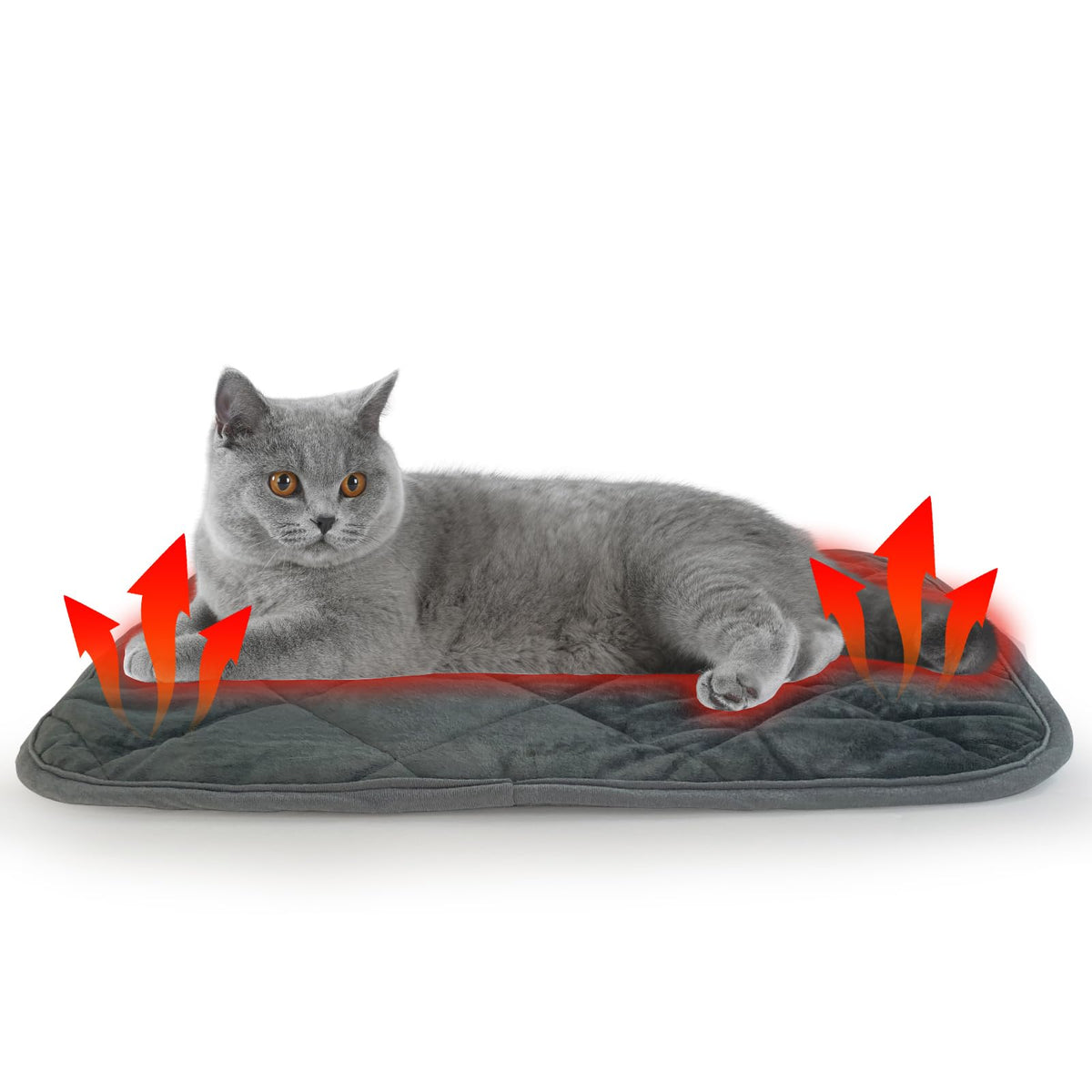 Panier auto-chauffant AUPETEK pour chat intérieur, chaleur douce et réconfortante.