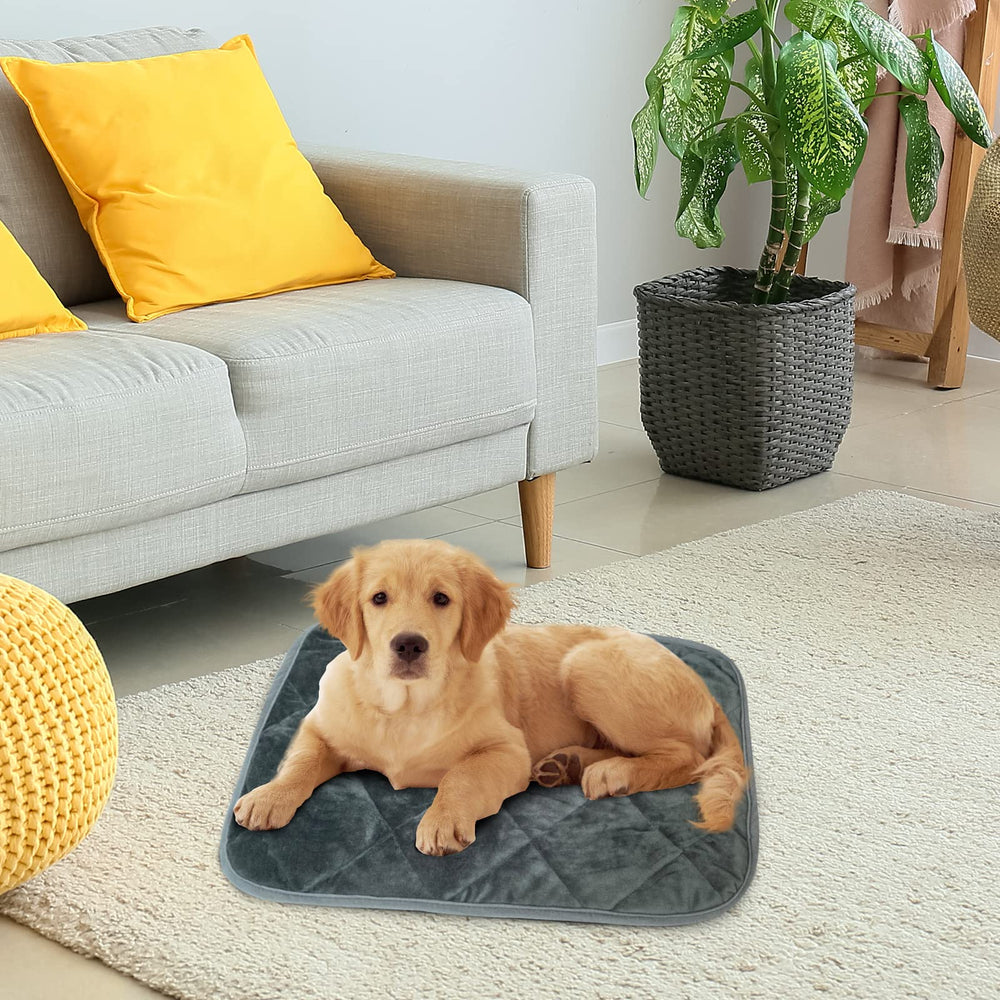 Tapis auto-chauffant AUPETEK, idéal pour caisse et chenil.