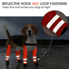 AuraPaw bottes chien bandes réfléchissantes pour la sécurité nocturne.
