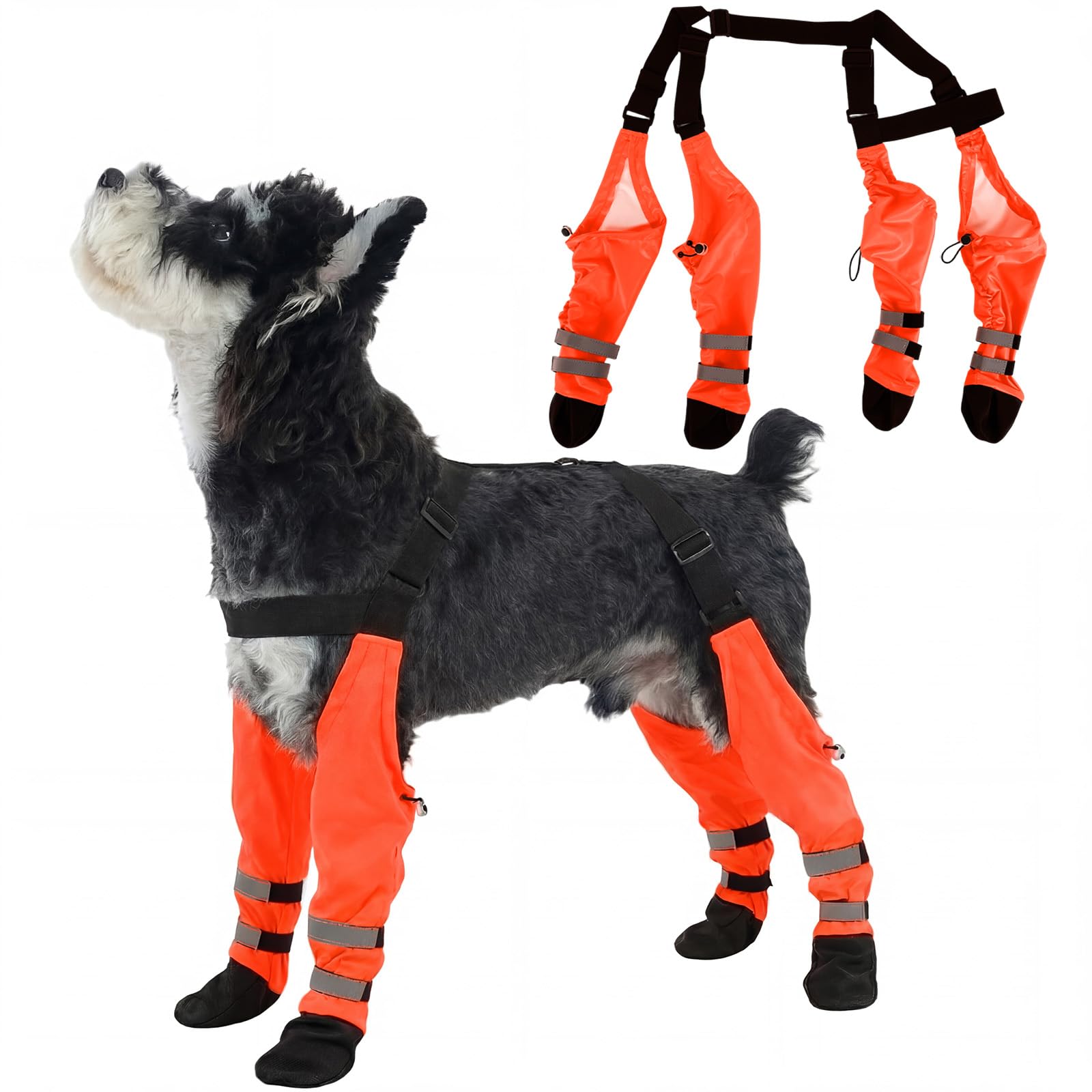 AuraPaw bottes chien avec système suspendeur assurant un maintien sûr pendant les promenades.