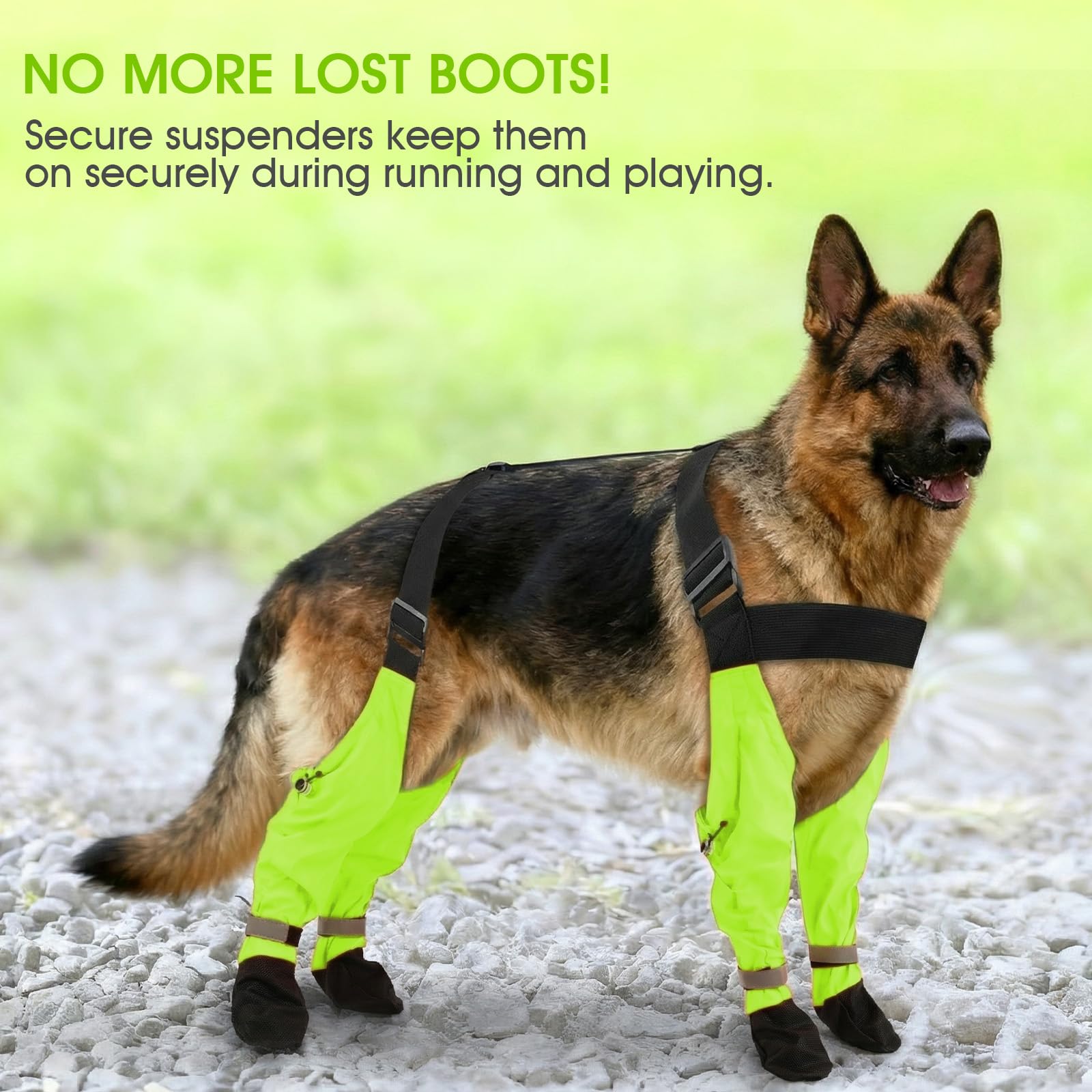 AuraPaw bottes chien taille M prêtes a l emploi