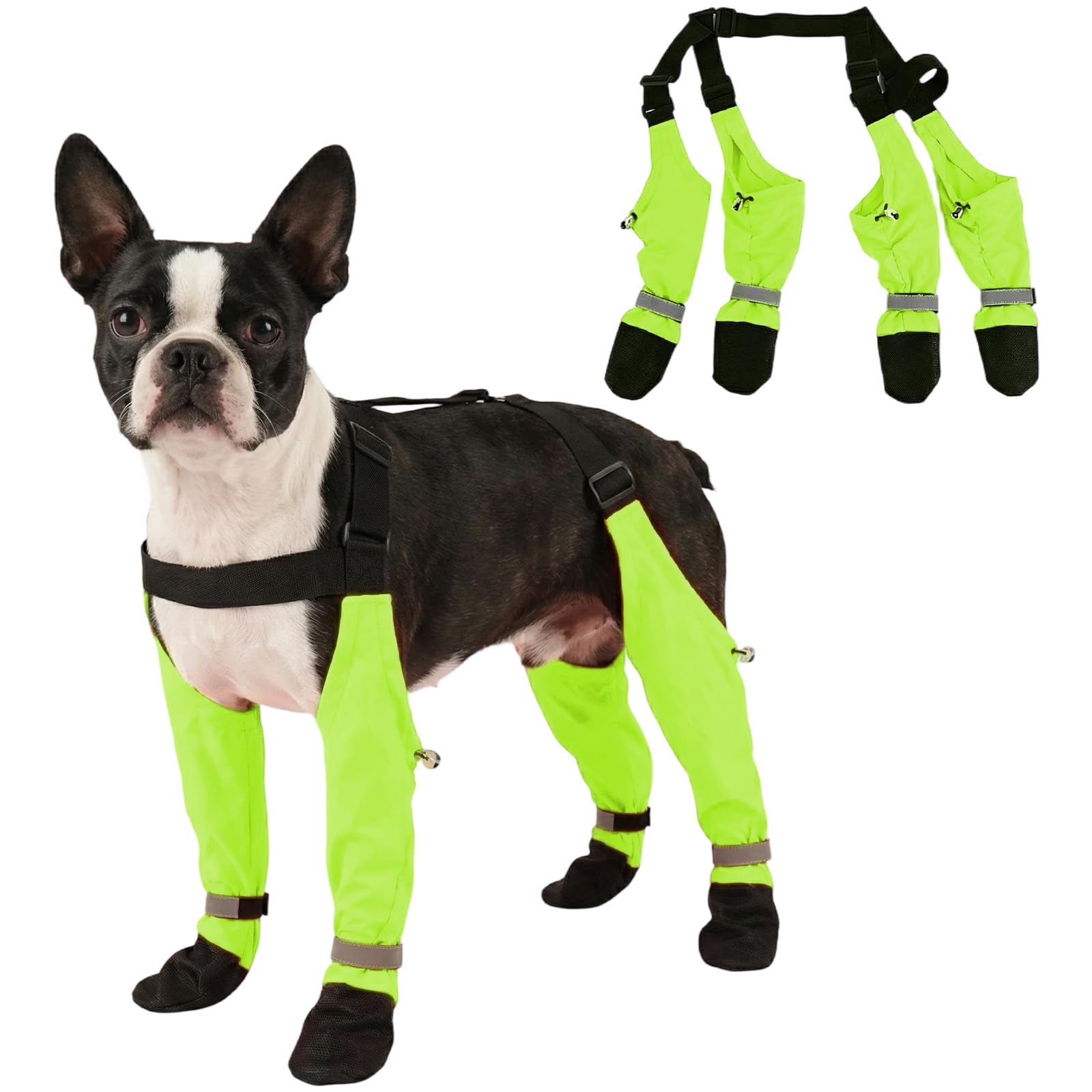 AuraPaw bottes chien vert etanches pour promenades mouillees